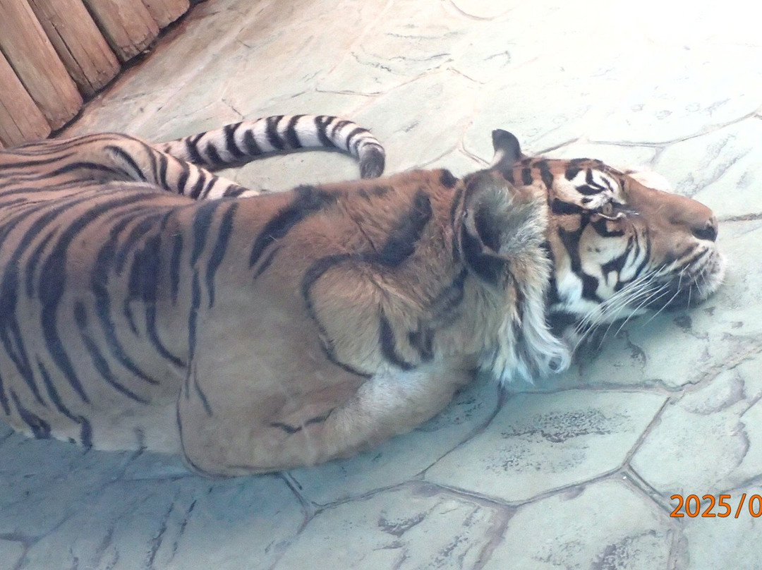 Zoo Brno-布尔诺必去景点