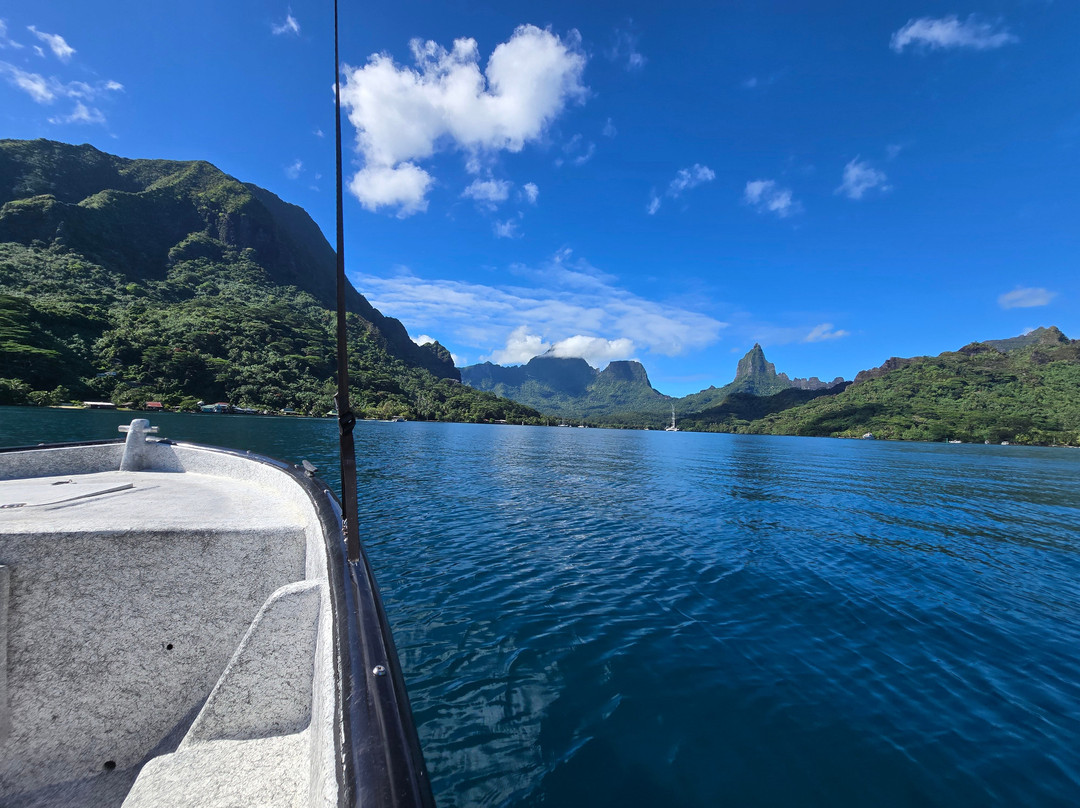 Koa Boat Tour-Tiahura必去景点