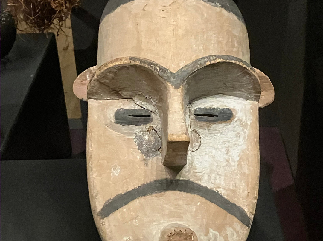 Muséum d'Histoire Naturelle de La Rochelle-拉罗谢尔必去景点