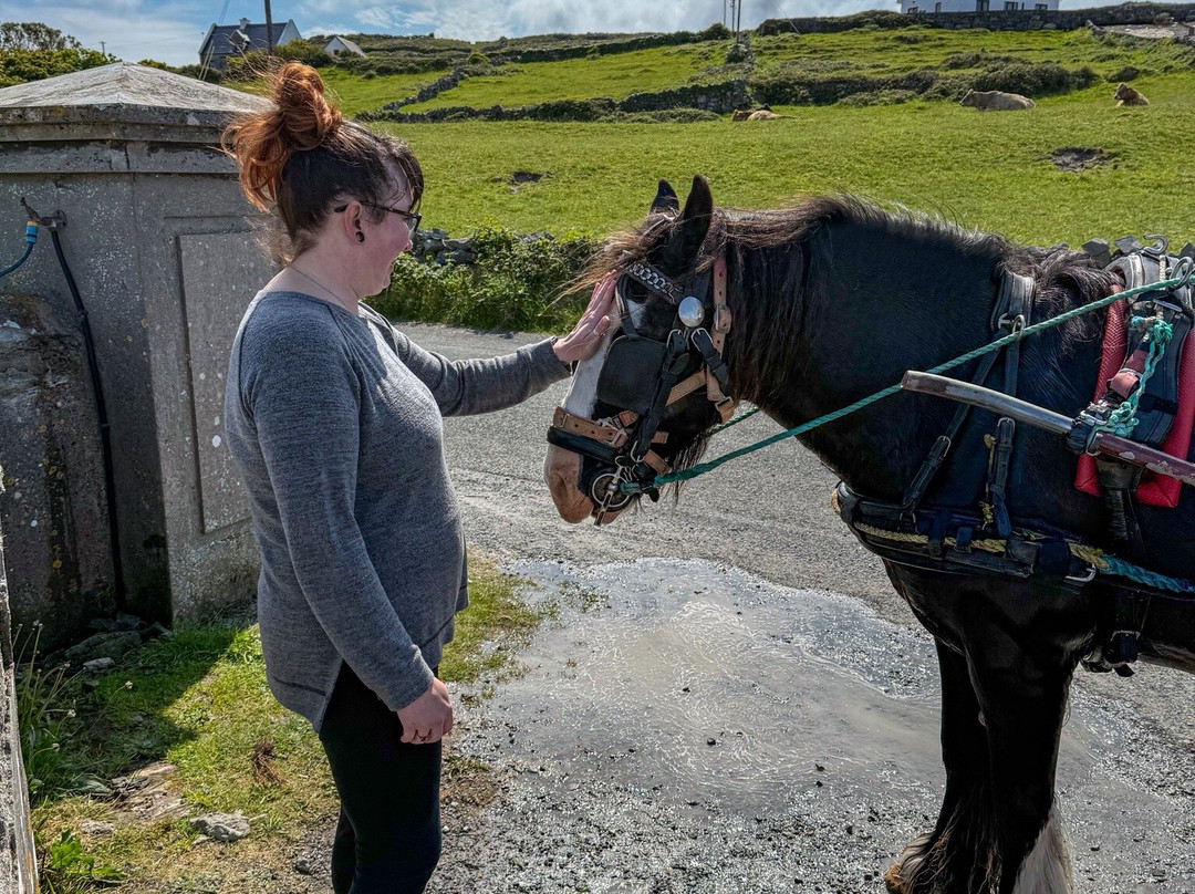 Inis Mor Horse Carriage tours-Inishmore必去景点