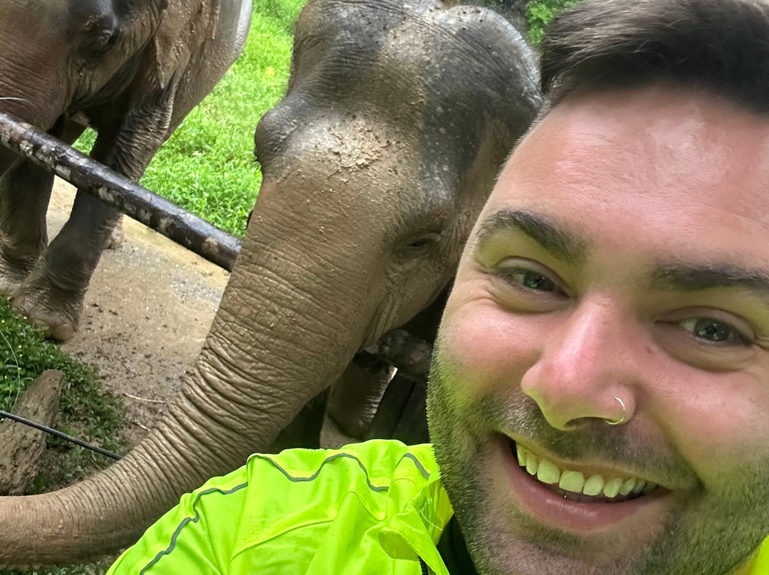 Khao Sok Elephant Sanctuary景点图片