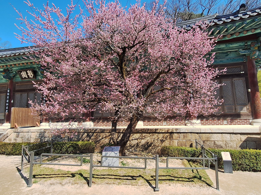 Tongdosa Temple-梁山市必去景点