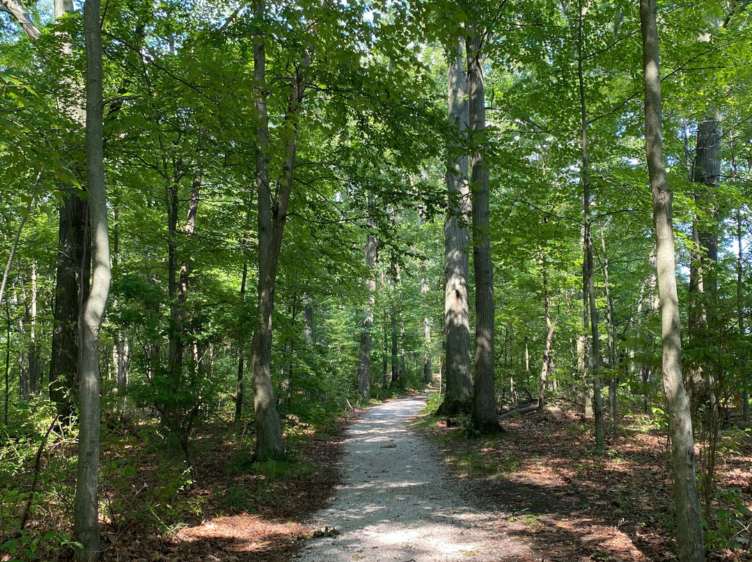 Portage Lakes State Park-阿克伦必去景点