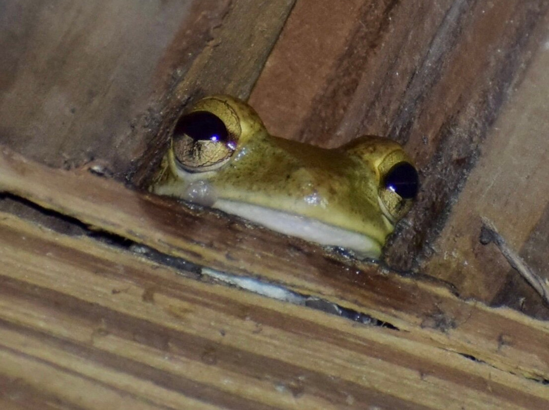 Gonature Conservation-迈阿密必去景点