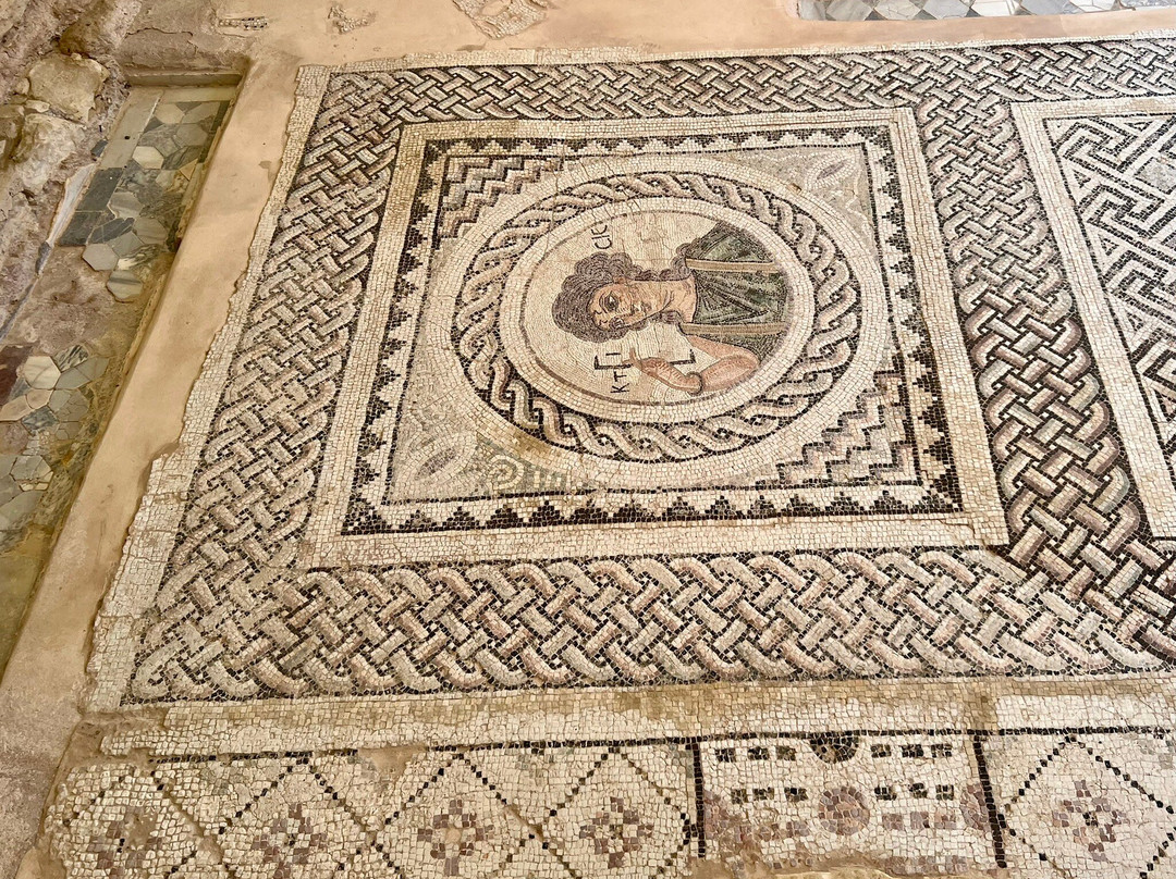 Local Archaeological Kourion Museum-Episkopi必去景点