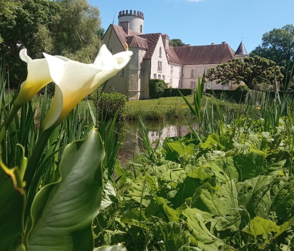 Château de Pesselières-Jalognes必去景点