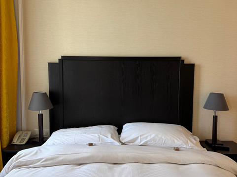 巴塞尔欧拉酒店主图