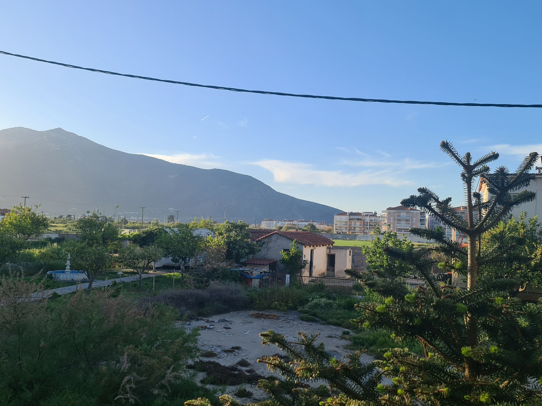 Argiropouloi