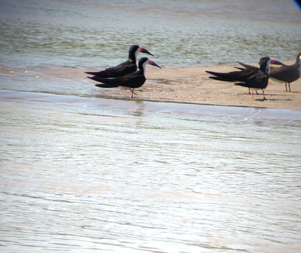 Manu Tour Operator  Expediciones Vilca-Manu必去景点