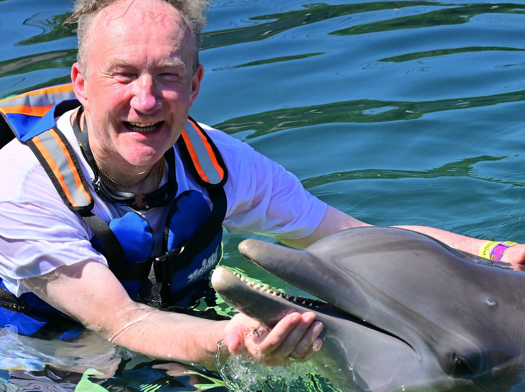 Delphinus Riviera Maya-普拉亚德尔卡曼必去景点