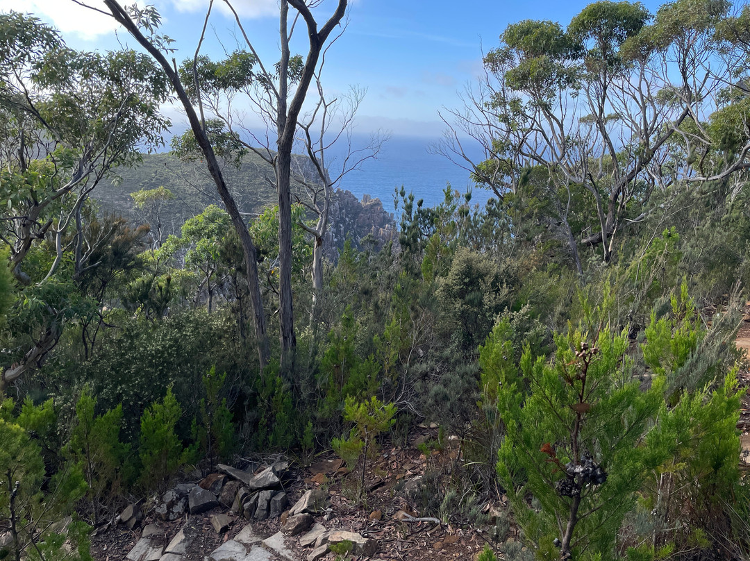 Cape Hauy-伊格尔霍克内克必去景点