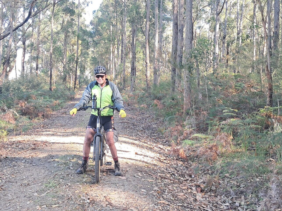 East Gippsland Rail Trail景点图片