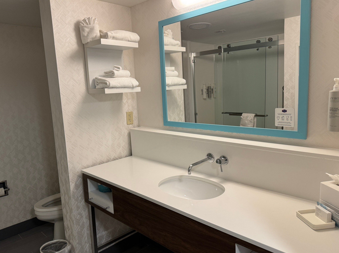 赫恩登 - 雷斯顿汉普顿旅馆&套房主图