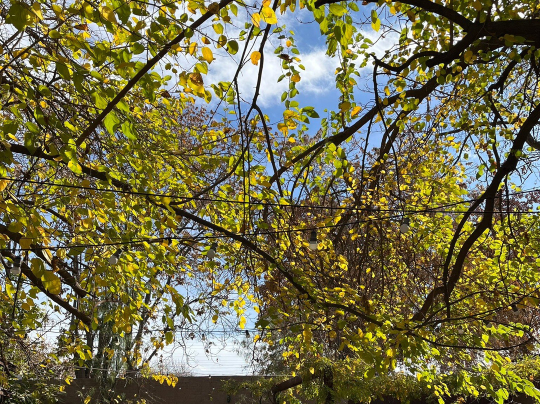 Bodega Lagarde-路冉得库约必去景点