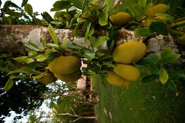 奇琴伊察旅馆主图