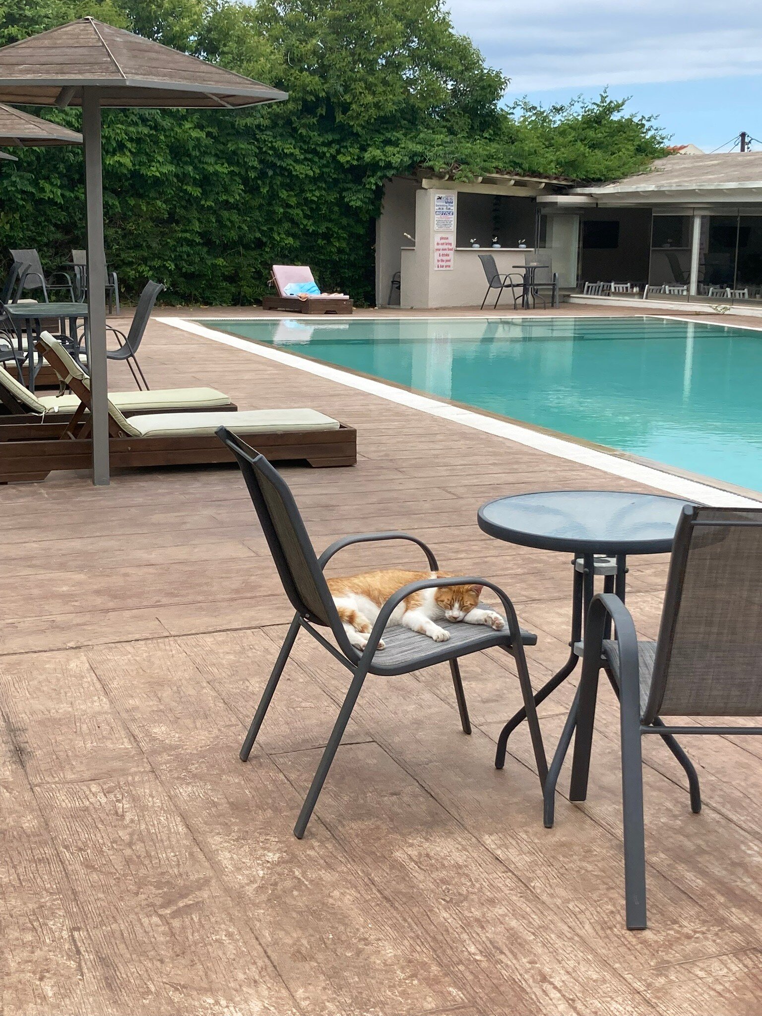 Anita Hotel-官方