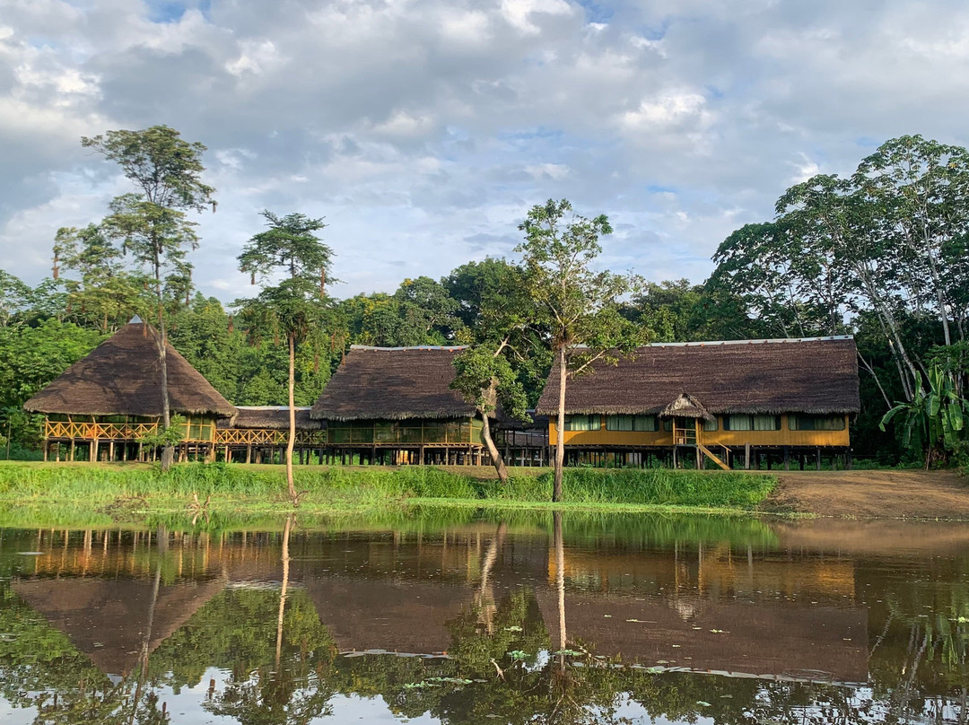 Ayahuasca Eco Tours