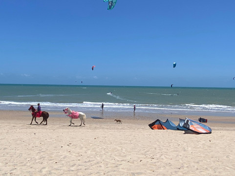 Explore Brazil’s Untouched Kitesurf Heaven – 8 Day, 4 Destinations, One Epic Journey  (Guided Trips, Lessons & Downwinders)-杰里科科拉必去景点