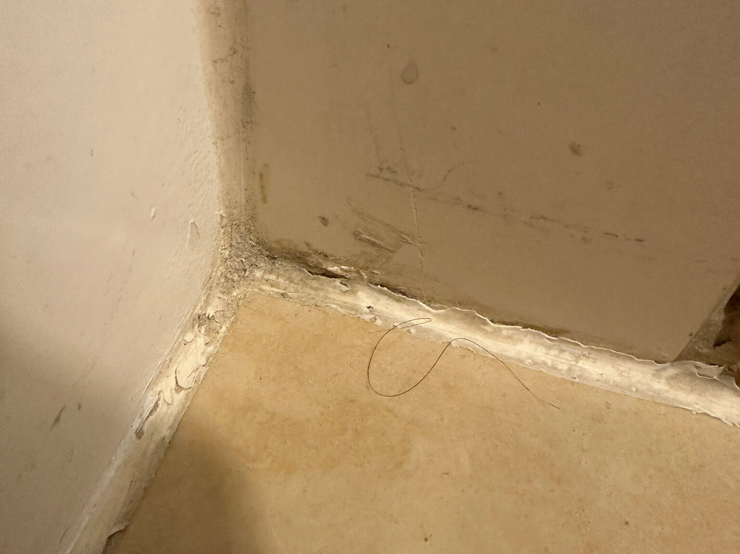 Los Angeles Marriott Burbank Airport主图