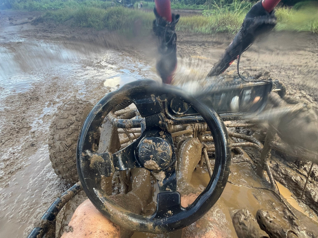 Raro Buggy Tours景点图片