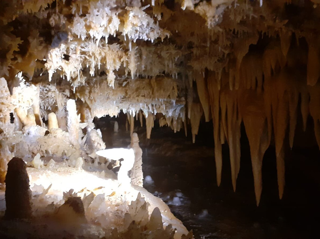 Grotte du Grand Roc景点图片