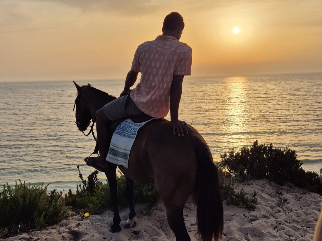 Cavalos Na Praia Do Meco - Lits Horses-Aldeia do Meco必去景点