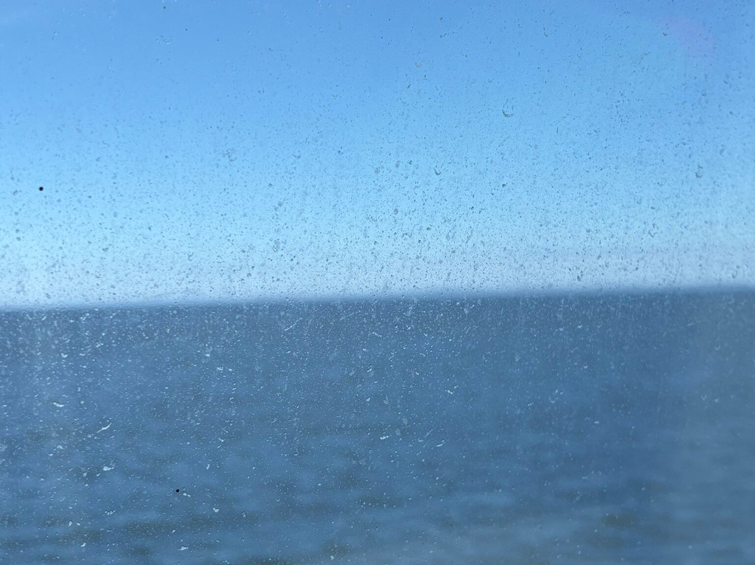 St. Pierre Ferry景点图片