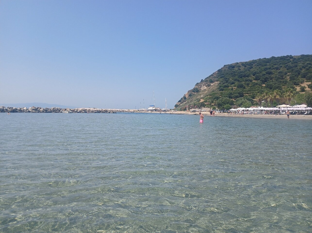 Medusa Apartments主图