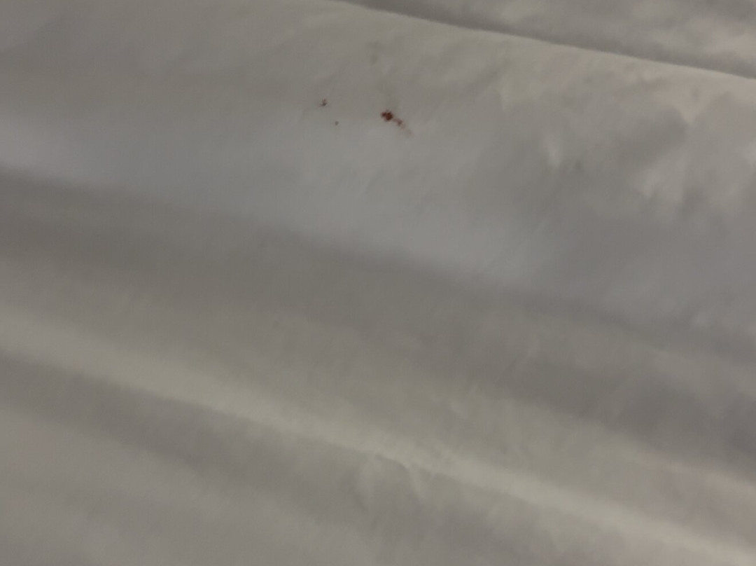 Baymont by Wyndham Glenview主图