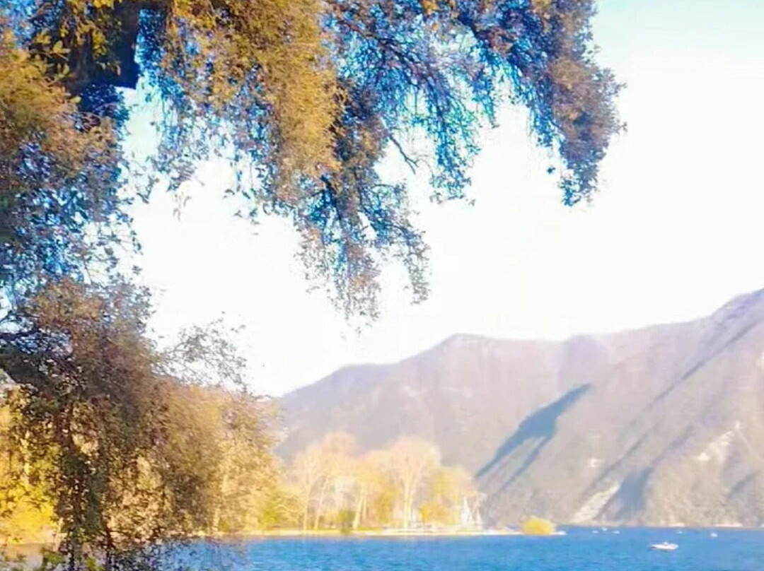 Parco Ciani-卢加诺必去景点