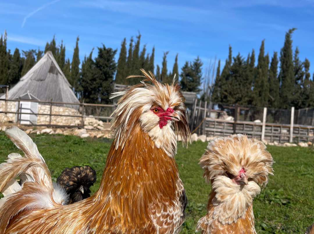 Rifugio Domo Mea-Olmedo必去景点