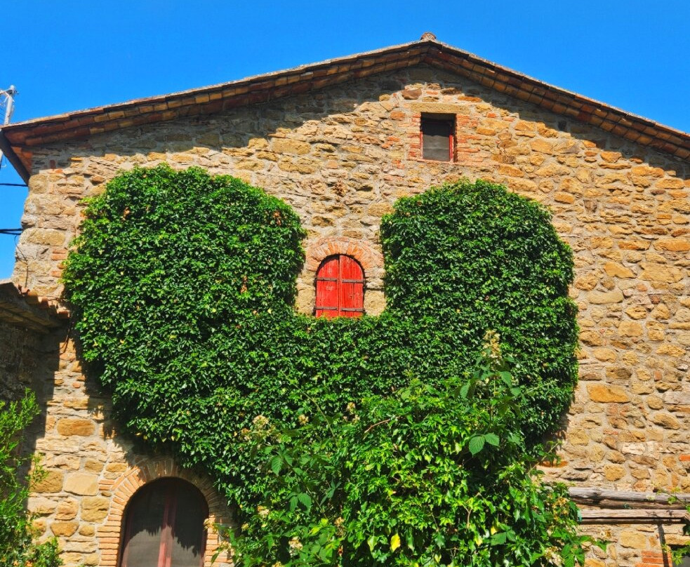 Agriturismo Torre Morgana主图