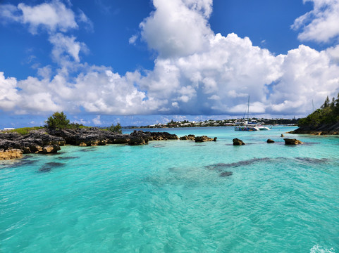 Bermuda Reef Explorer-汉密尔顿必去景点