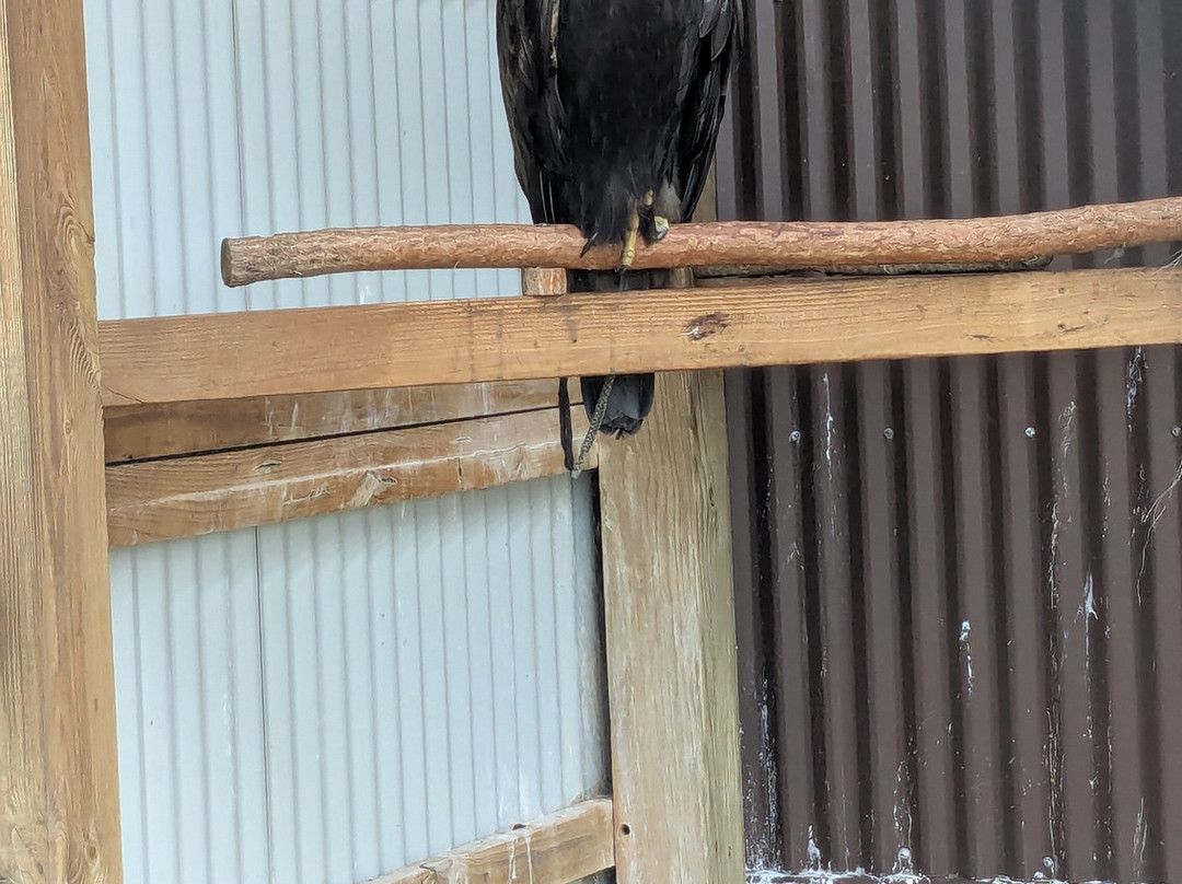 Outdoor Discovery Center-荷兰村必去景点
