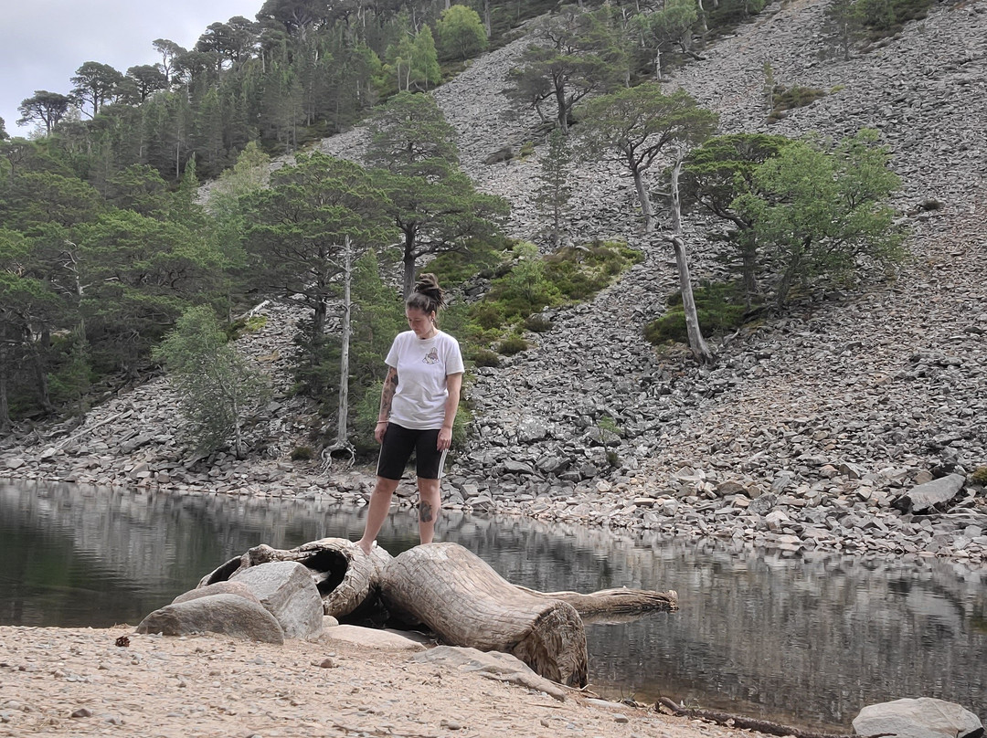 An Lochan Uaine-阿维莫尔必去景点