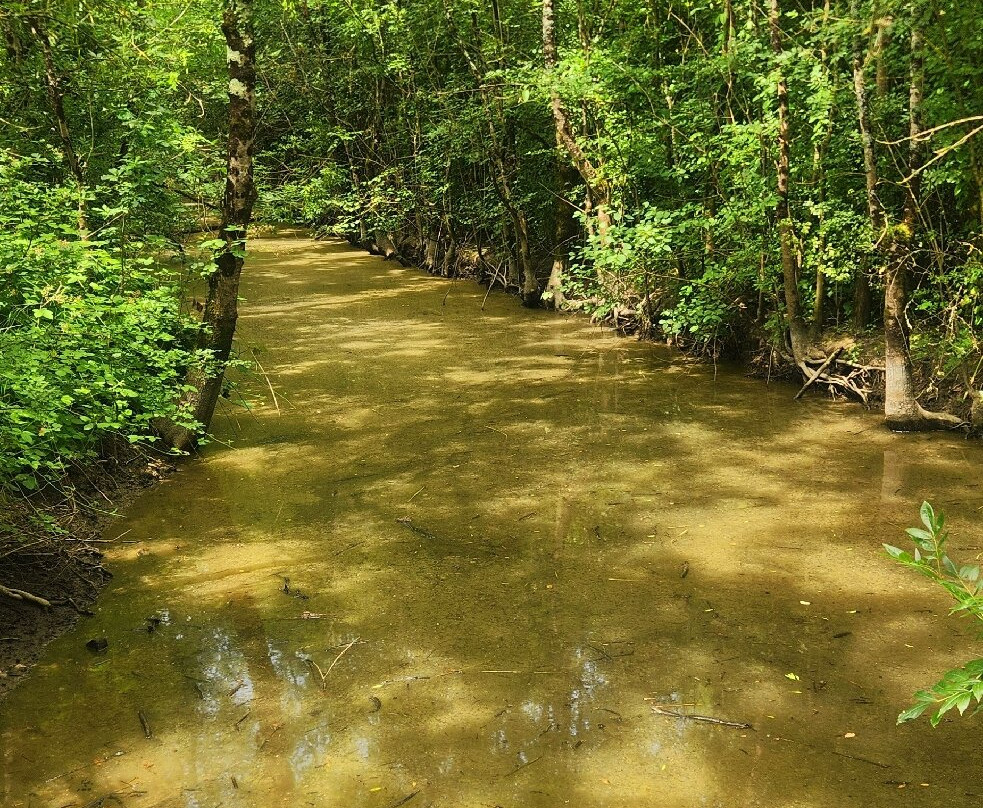 Réserve des Huttes-Nalliers必去景点