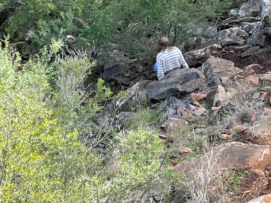 Loddon Falls-Glenlyon必去景点