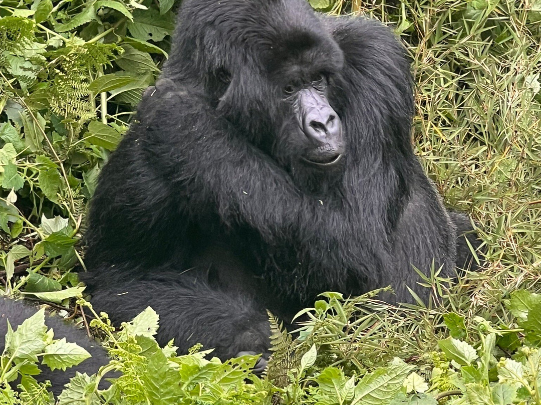 Explore RwandaTours-吉佳利必去景点