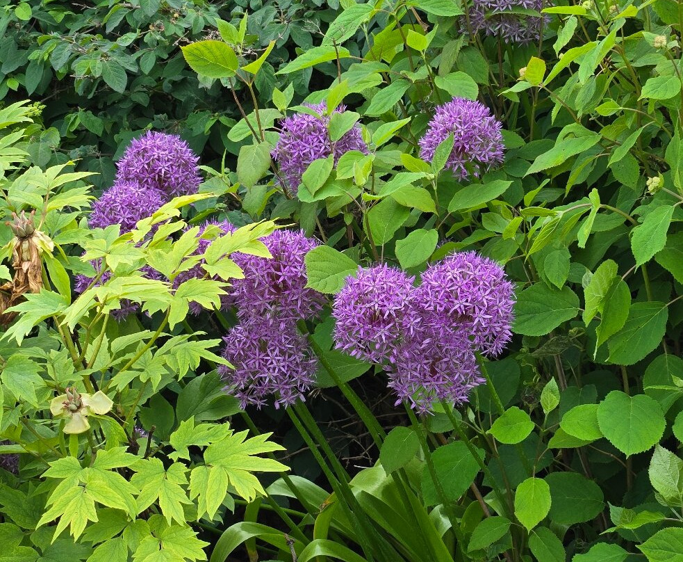 Boerner Botanical Gardens-黑尔斯科纳斯必去景点