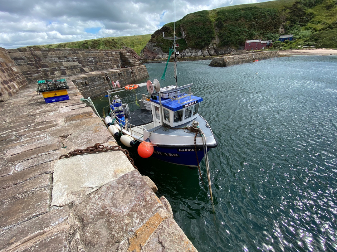 Cove Harbour-Cockburnspath必去景点