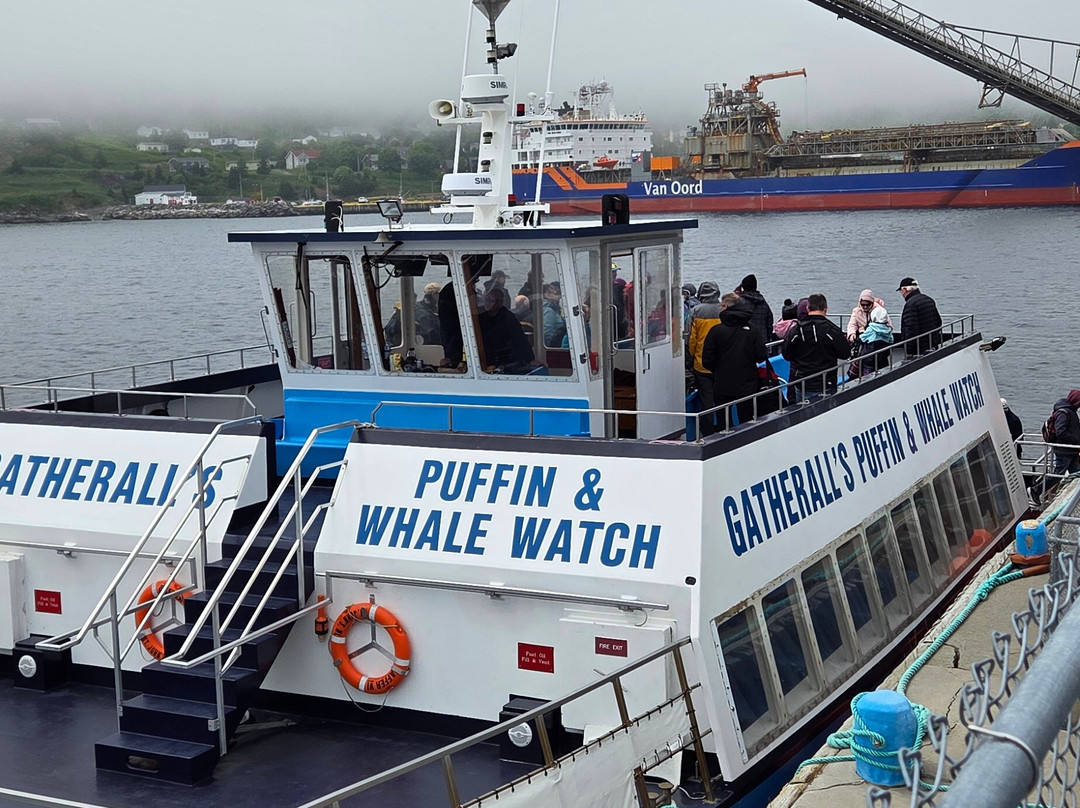 Gatherall's Puffin and Whale Watch-Bay Bulls必去景点