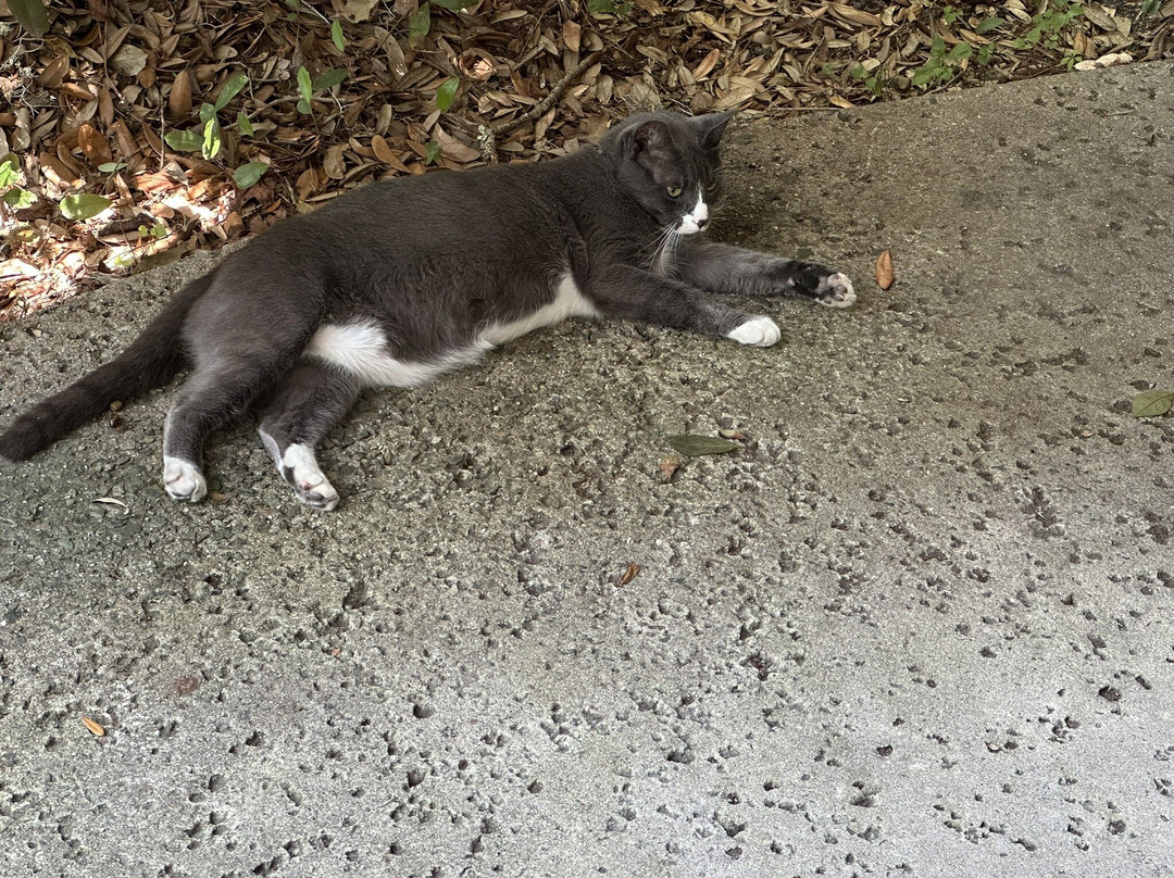 Hilton Head Distillery-希尔顿头岛必去景点