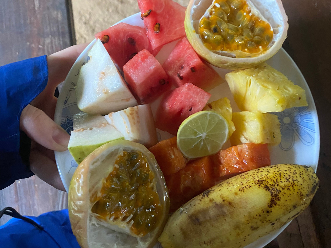 Kandy Trekking Tours-康提必去景点