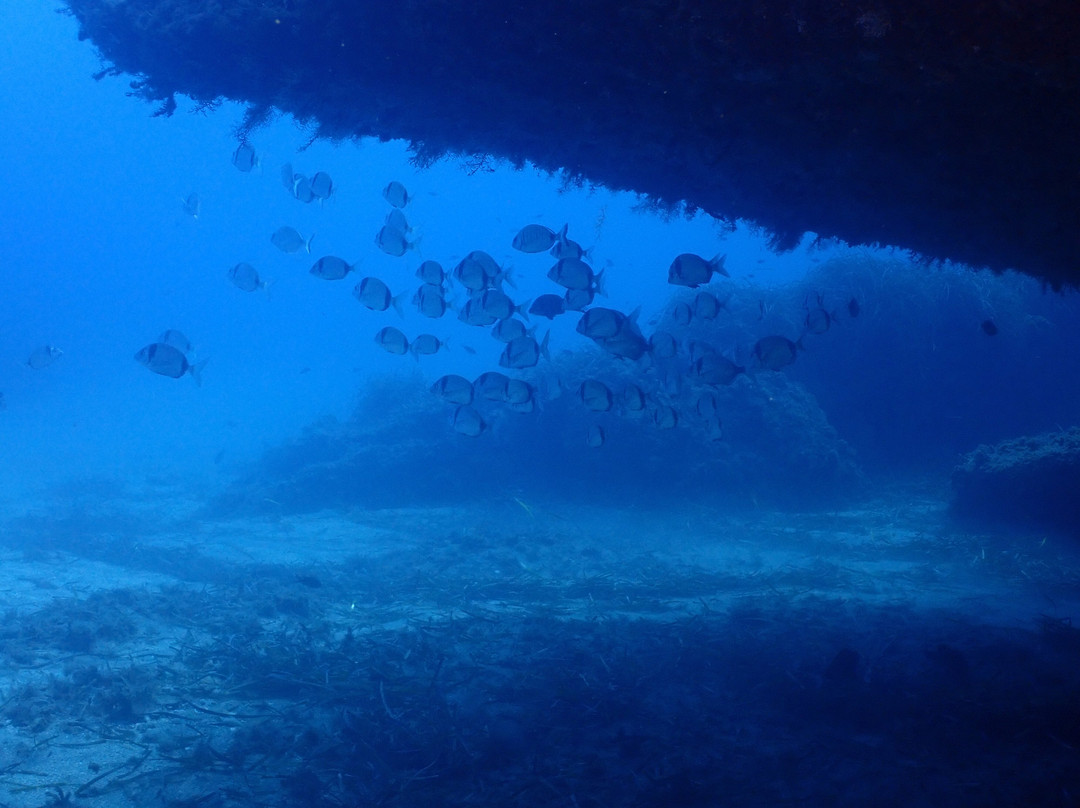 Buceo Mojacar-莫哈卡尔必去景点