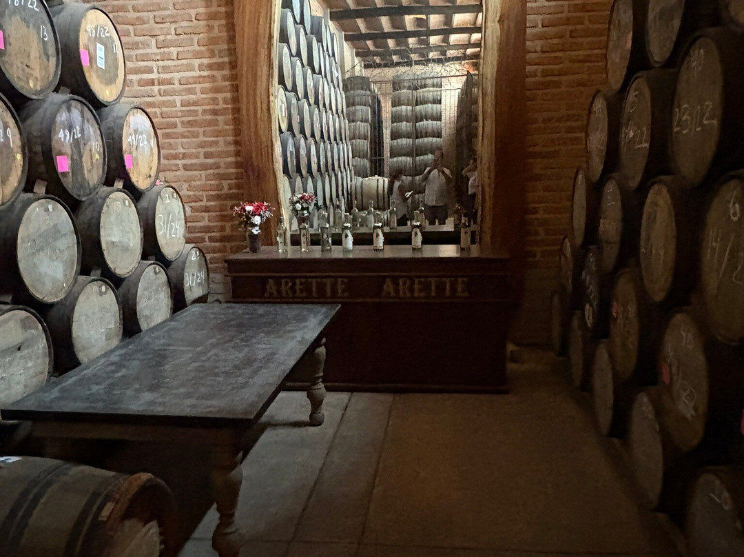 Tequila Arette-特基拉必去景点