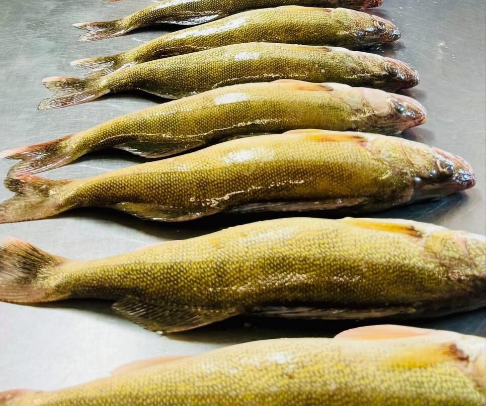 Perch Patrol-Devils Lake必去景点