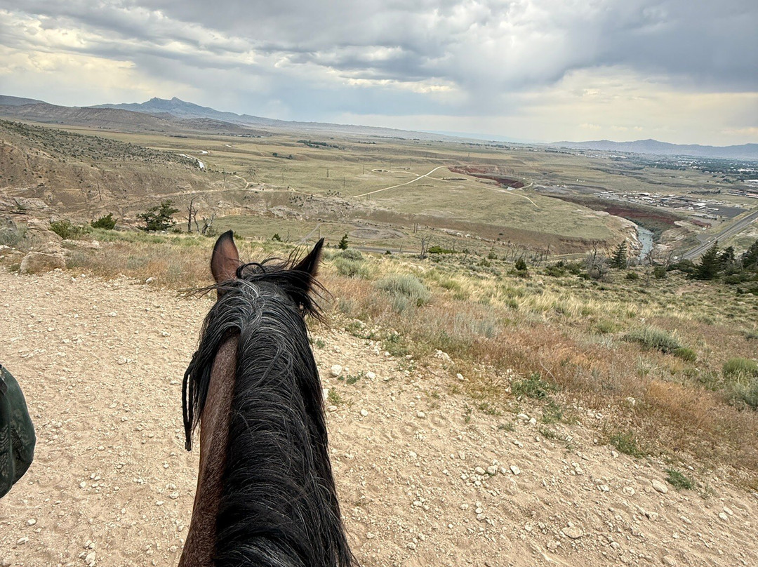 Cedar Mountain Trail Rides-科迪必去景点