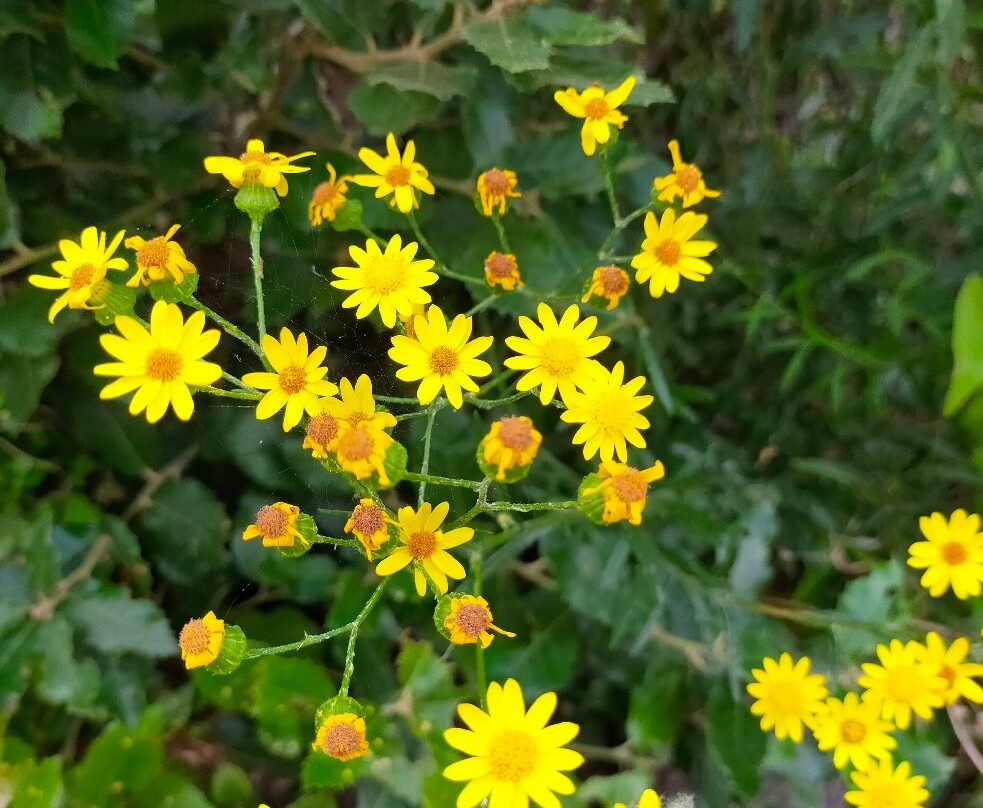 Agriturismo Alveare主图