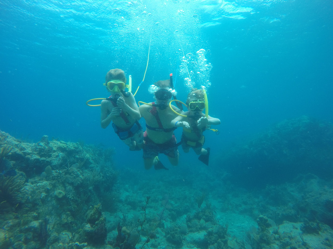 Bvi Snuba-维京果岛必去景点