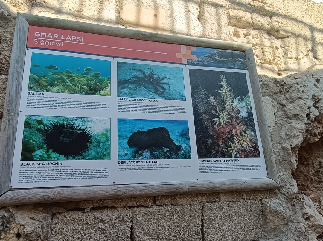 Ghar Lapsi-Siggiewi必去景点